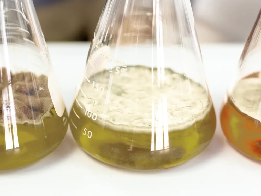 Toxin accumulation in the body