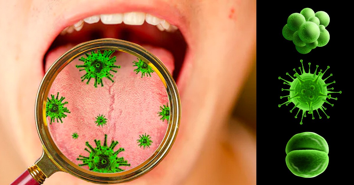 Disintossicare il corpo in modo naturale